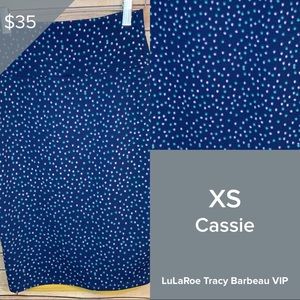 NWT LuLaRoe XS Cassie Skirt